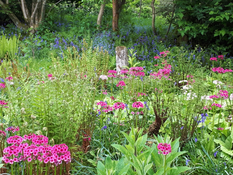 Moors Meadow Gardens